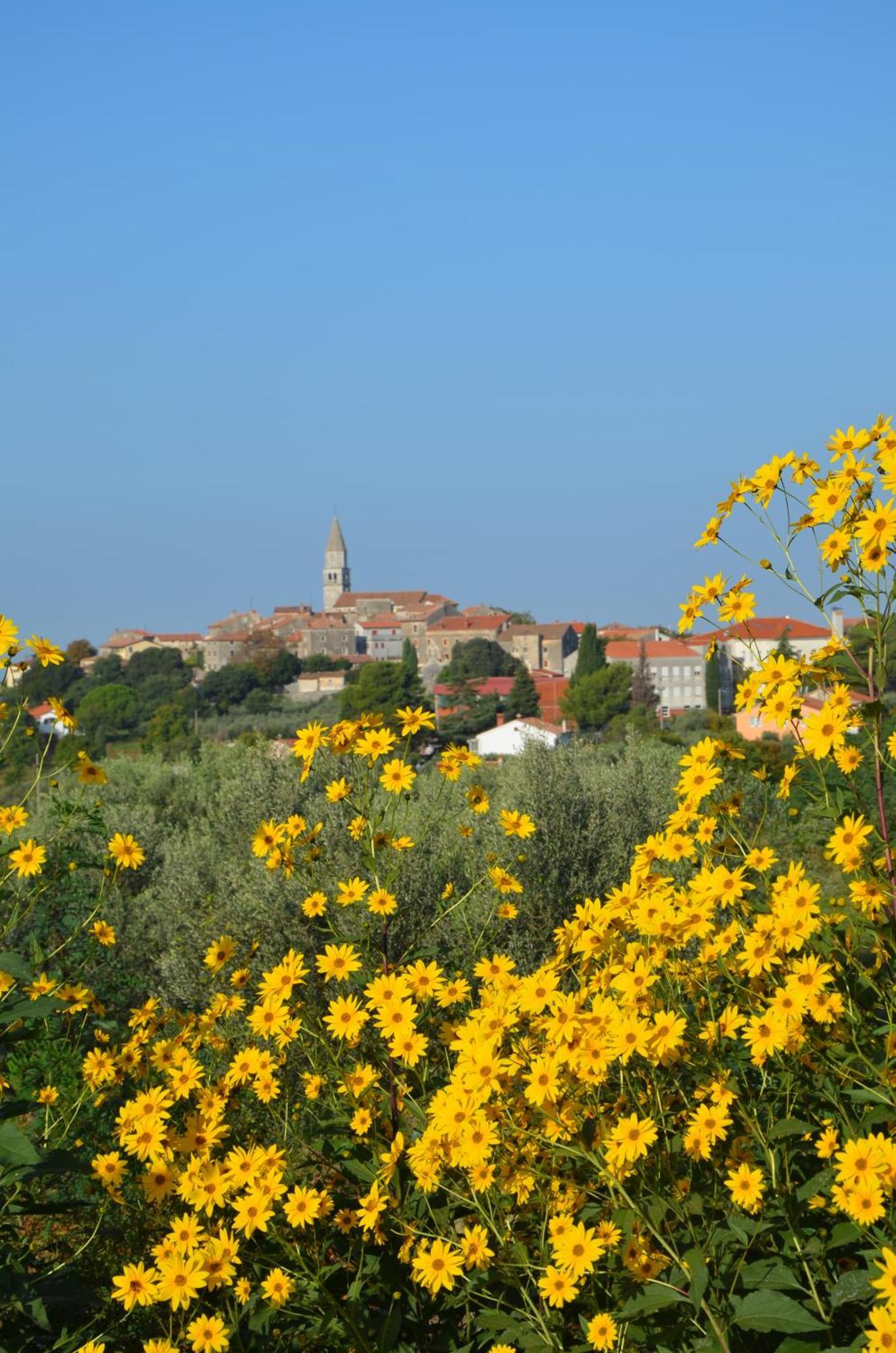Villa Leopoldo By Istrian Country Houses Barat  Dış mekan fotoğraf