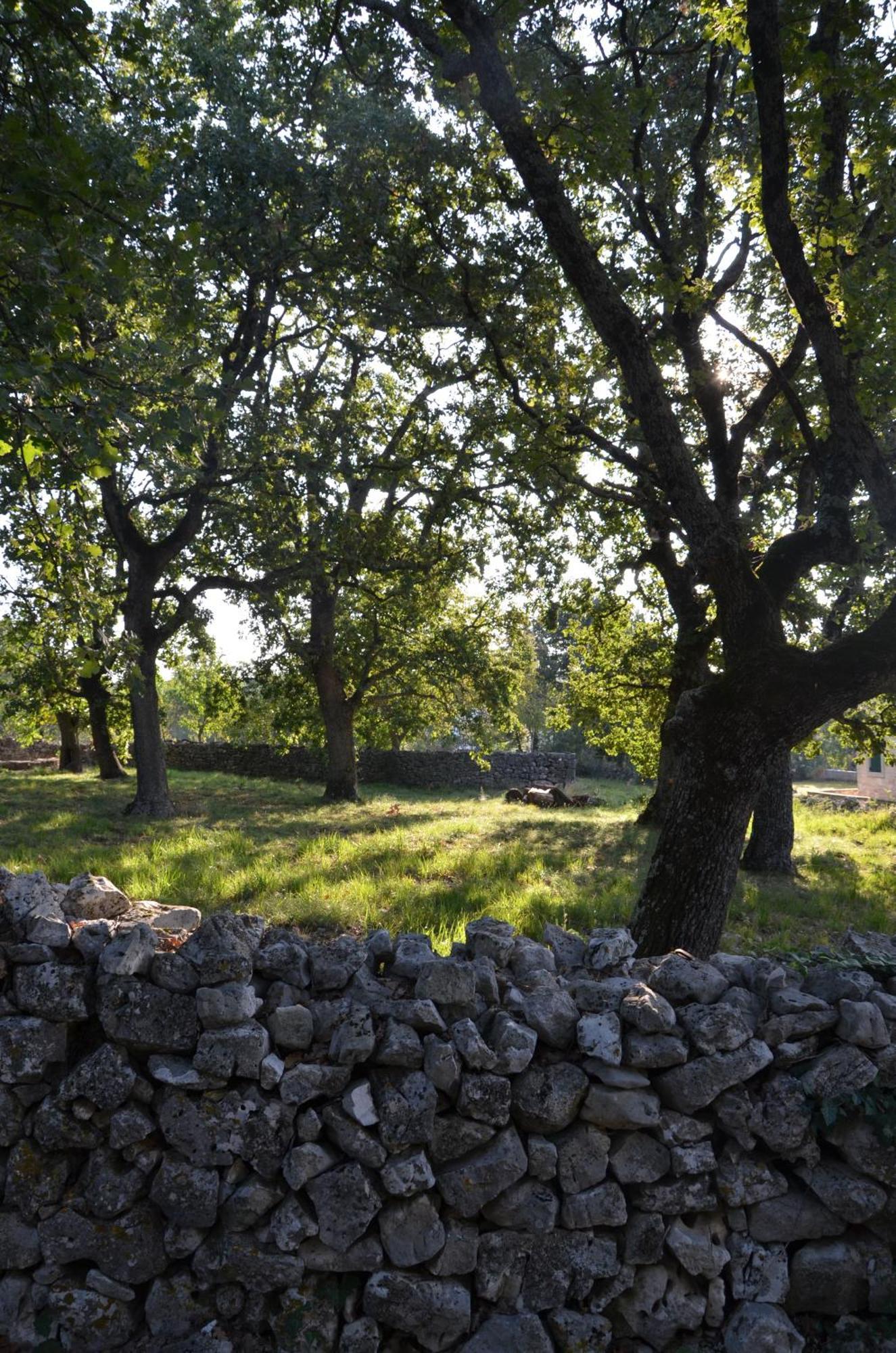Villa Leopoldo By Istrian Country Houses Barat  Dış mekan fotoğraf