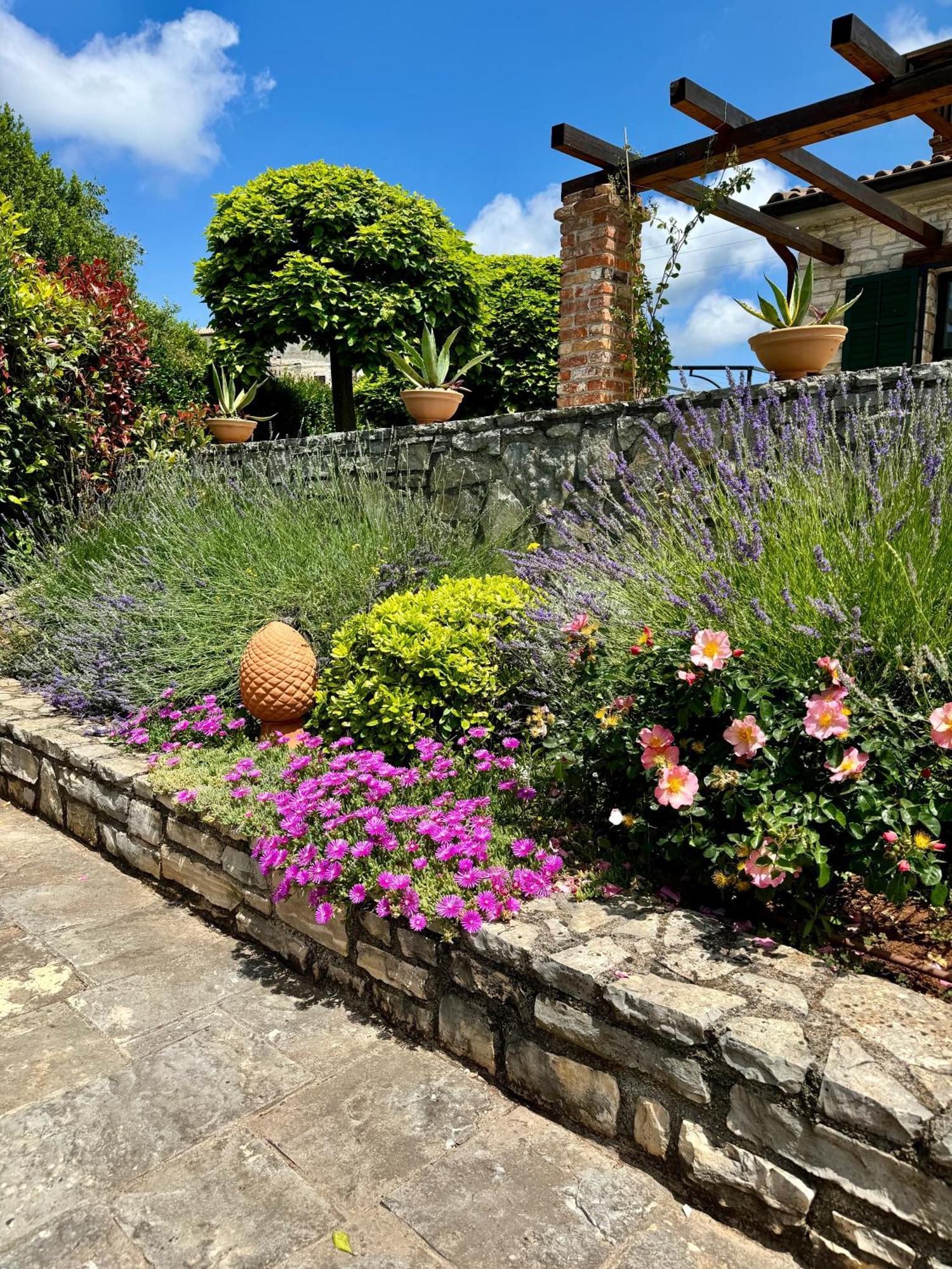 Villa Leopoldo By Istrian Country Houses Barat  Dış mekan fotoğraf